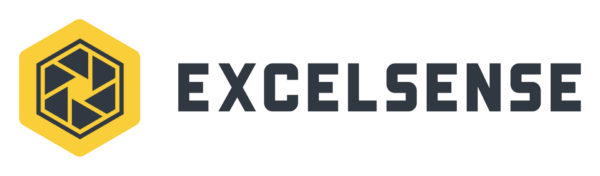 ExcelSense Logo